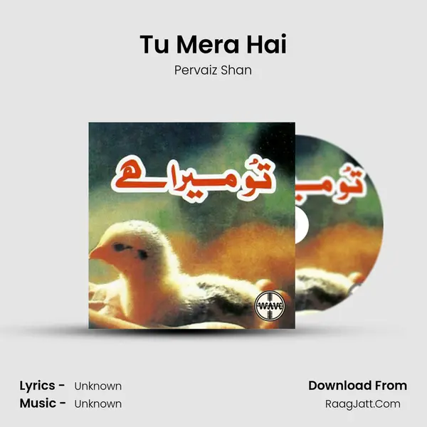 Tu Mera Hai mp3 song