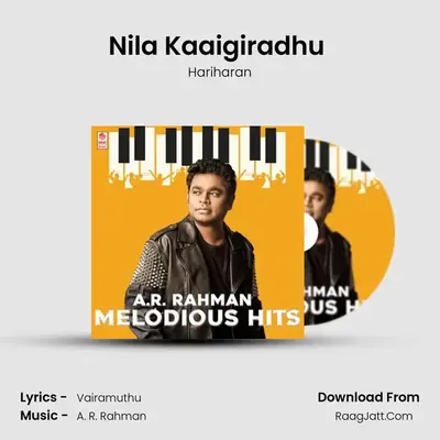 Nila Kaaigiradhu (From "Indira") Cover