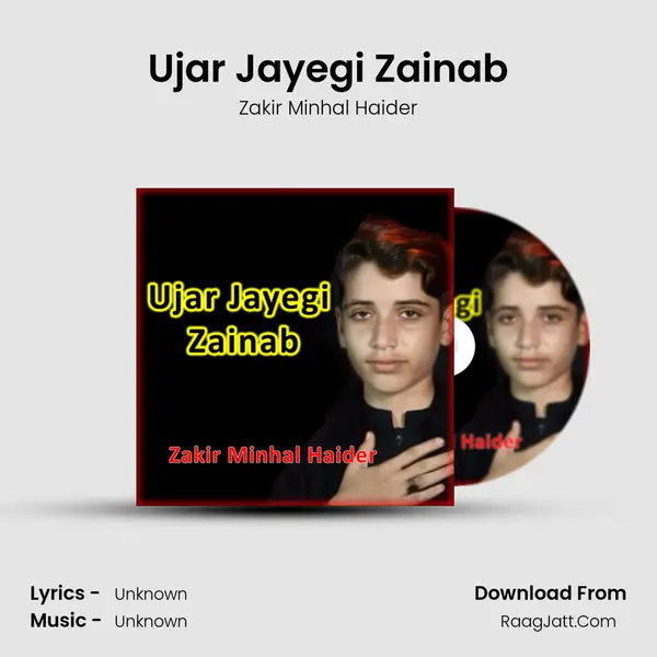 Ujar Jayegi Zainab - Single - 