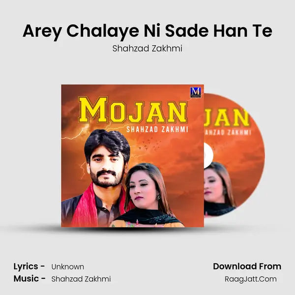 Arey Chalaye Ni Sade Han Te Cover