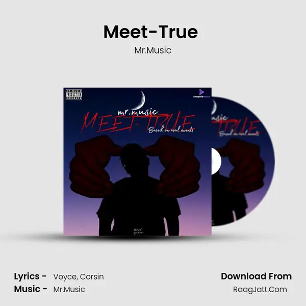 Meet-True (Based On Real Events) MP3 Song by Mr.Music Cover