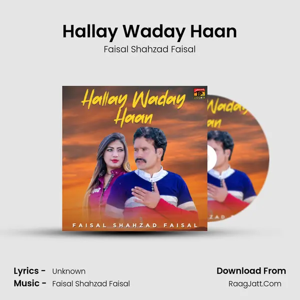 Hallay Waday Haan - Single - Faisal Shahzad Faisal