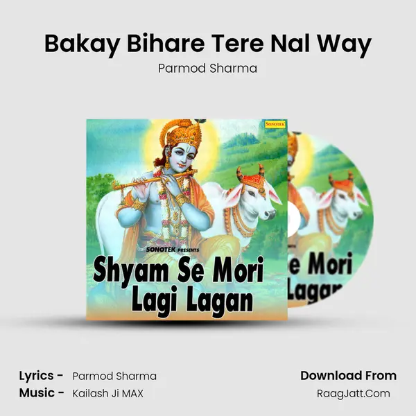 Bakay Bihare Tere Nal Way mp3 song