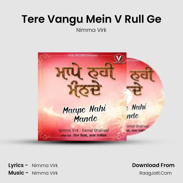 Tere Vangu Mein V Rull Ge MP3 Song by Nimma Virk Cover