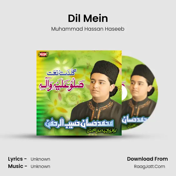 Dil Mein MP3 Song by Muhammad Hassan Haseeb Cover