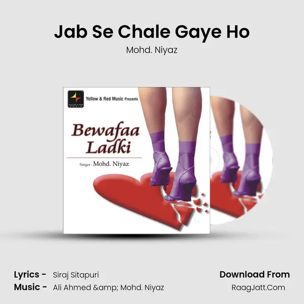 Jab Se Chale Gaye Ho MP3 Song by Mohd. Niyaz Cover