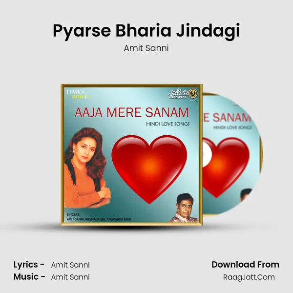 Pyarse Bharia Jindagi MP3 Song by Amit Sanni Cover