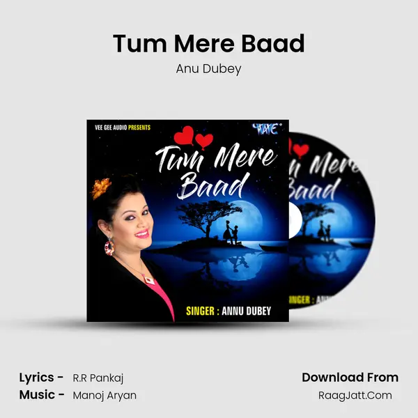 Tum Mere Baad - Anu Dubey