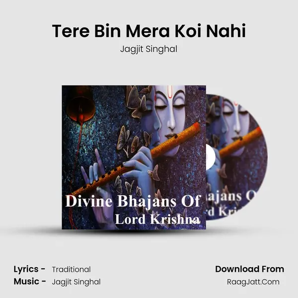 Tere Bin Mera Koi Nahi MP3 Song by Jagjit Singhal Cover