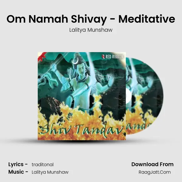 Om Namah Shivay - Meditative MP3 Song by Lalitya Munshaw Cover