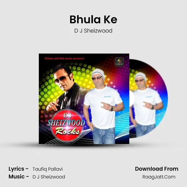Bhula Ke Cover