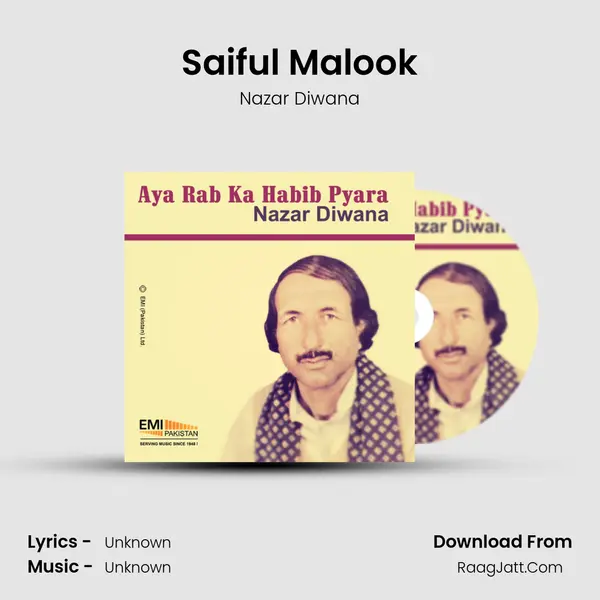 Saiful Malook MP3 Song by Nazar Diwana Cover