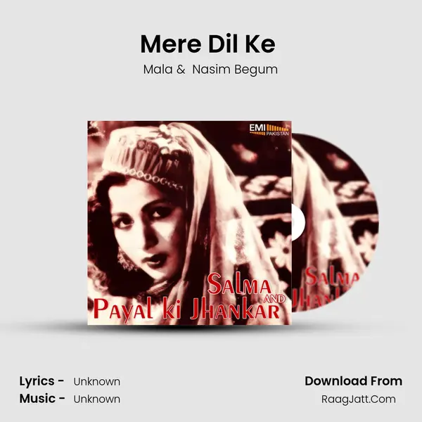 Mere Dil Ke (from 