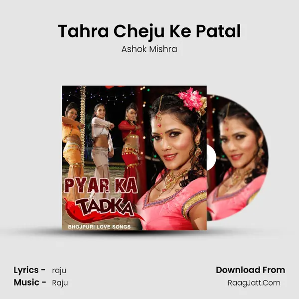 Tahra Cheju Ke Patal MP3 Song by Ashok Mishra Cover
