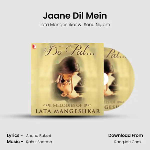 Jaane Dil Mein Cover