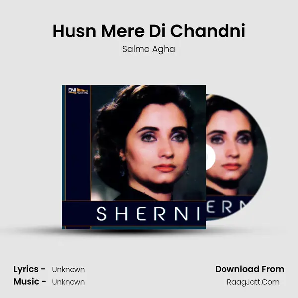 Husn Mere Di Chandni MP3 Song by Salma Agha Cover