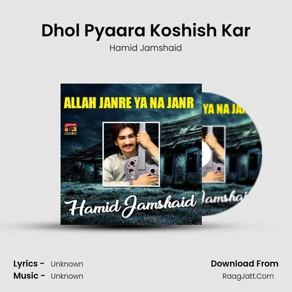 Dhol Pyaara Koshish Kar MP3 Song by Hamid Jamshaid Cover