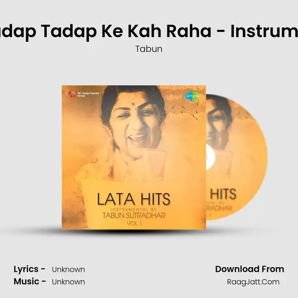 Dil Tadap Tadap Ke Kah Raha - Instrumental MP3 Song by Tabun Cover