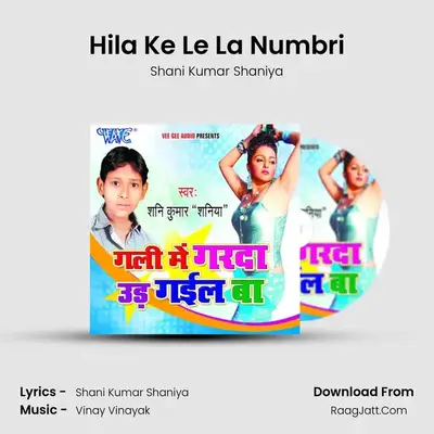 Hila Ke Le La Numbri MP3 Song by Shani Kumar Shaniya Cover