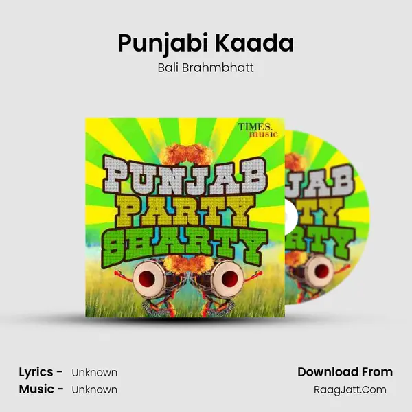 Punjabi Kaada Cover