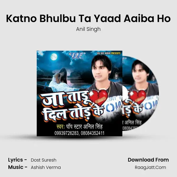 Katno Bhulbu Ta Yaad Aaiba Ho MP3 Song by Anil Singh Cover