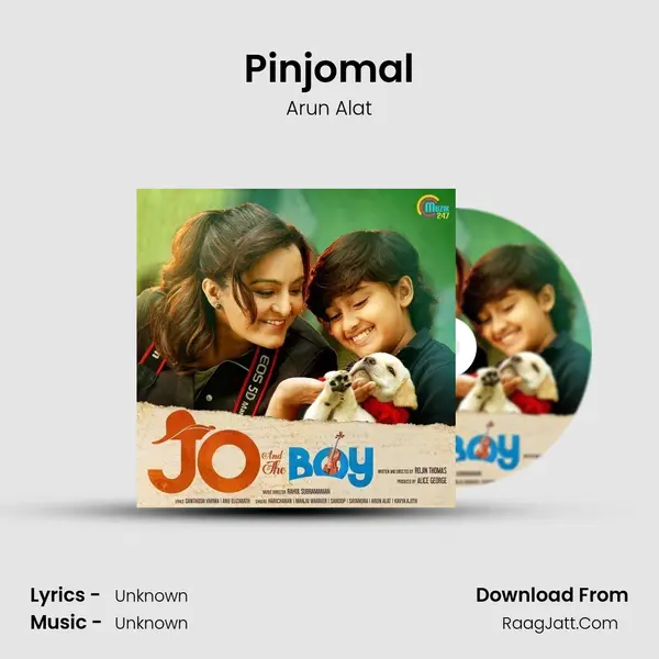 Pinjomal MP3 Song by Arun Alat Cover