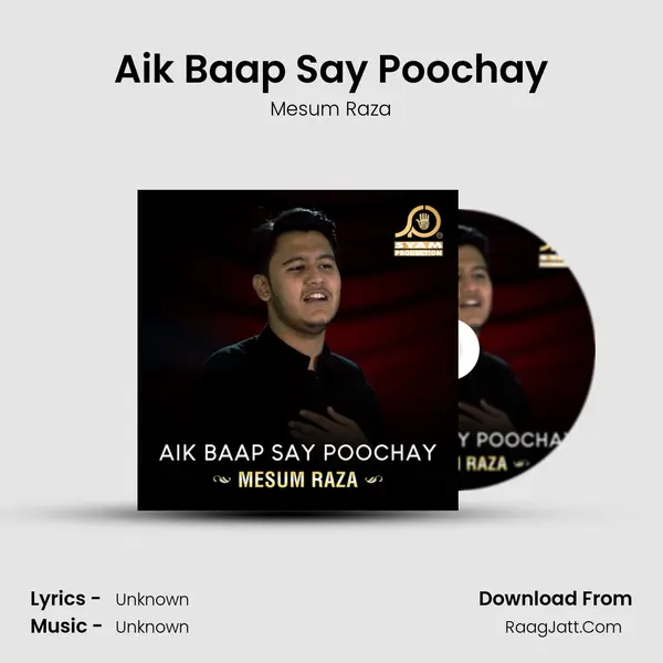 Aik Baap Say Poochay - Single - Mesum Raza