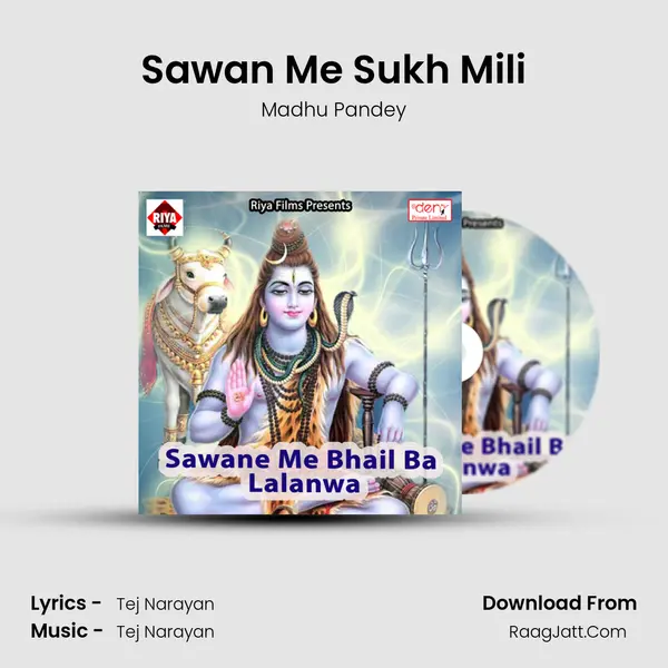 Sawan Me Sukh Mili MP3 Song by Madhu Pandey Cover