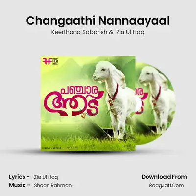 Changaathi Nannaayaal mp3 song