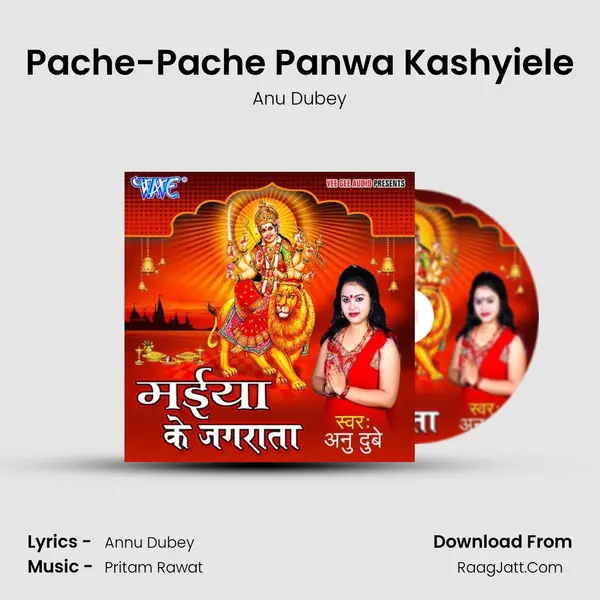 Pache-Pache Panwa Kashyiele MP3 Song by Anu Dubey Cover