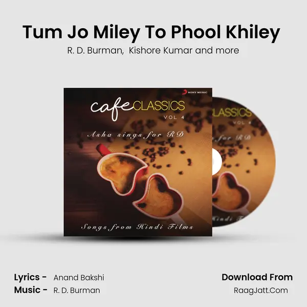 Tum Jo Miley To Phool Khiley (From "Mil Gayee Manzil Mujhe") Cover