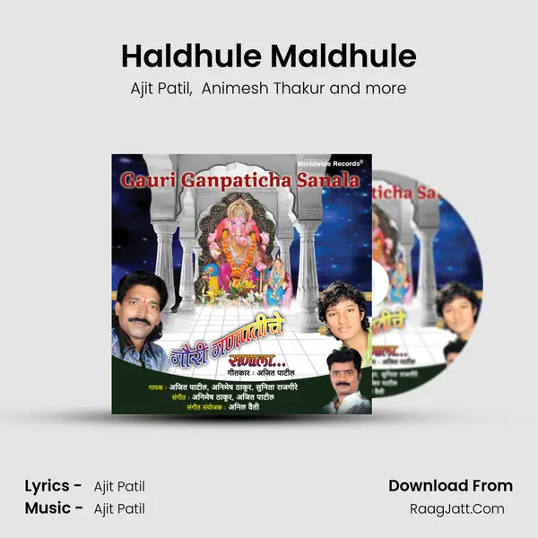 Haldhule Maldhule MP3 Song by Ajit Patil Cover