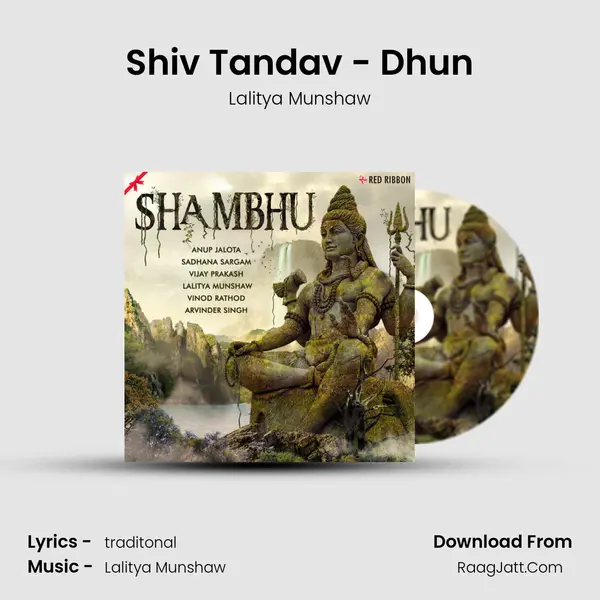 Shiv Tandav - Dhun Cover
