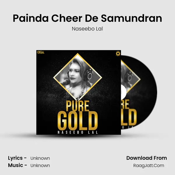 Painda Cheer De Samundran MP3 Song by Naseebo Lal Cover