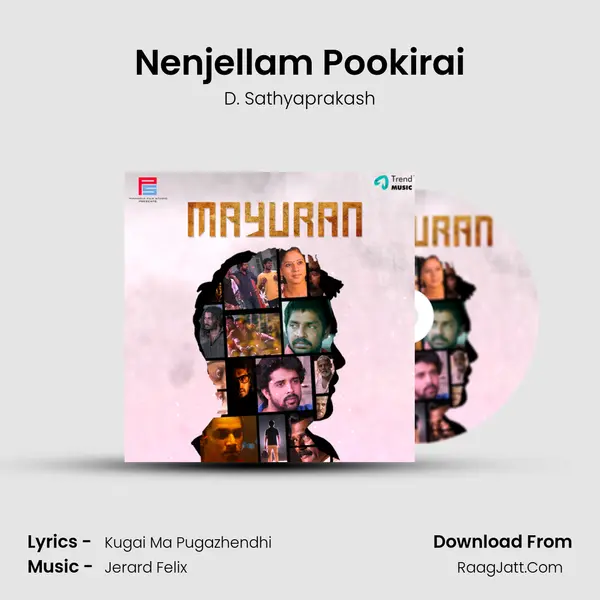 Nenjellam Pookirai MP3 Song by D. Sathyaprakash Cover