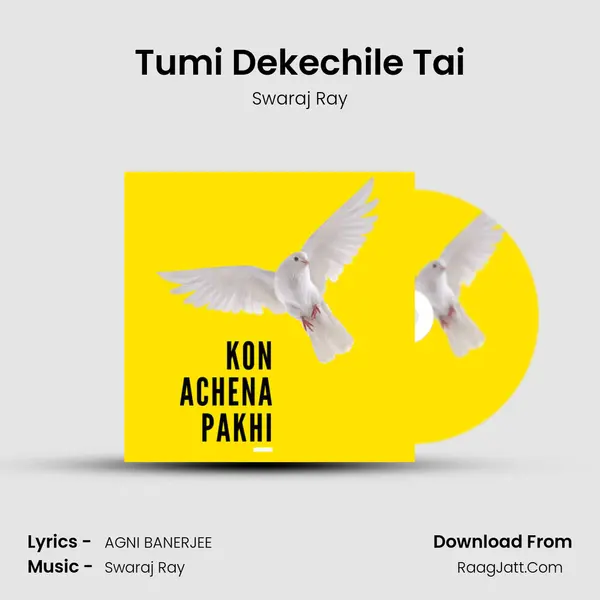 Tumi Dekechile Tai MP3 Song by Swaraj Ray Cover