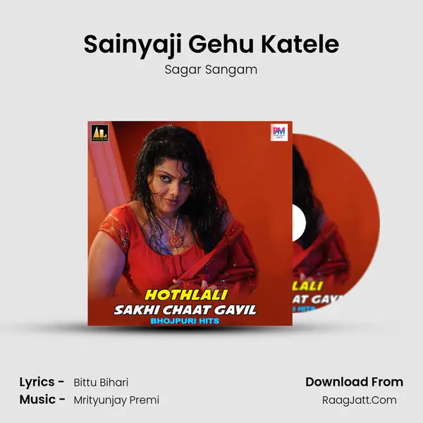 Sainyaji Gehu Katele MP3 Song by Sagar Sangam Cover