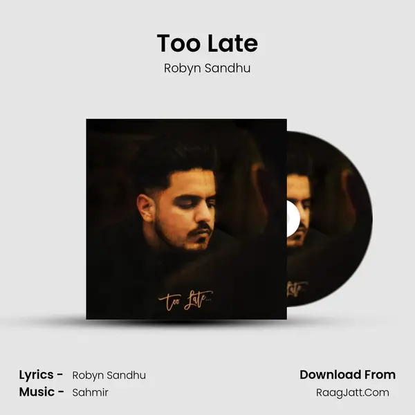 Too Late - Robyn Sandhu
