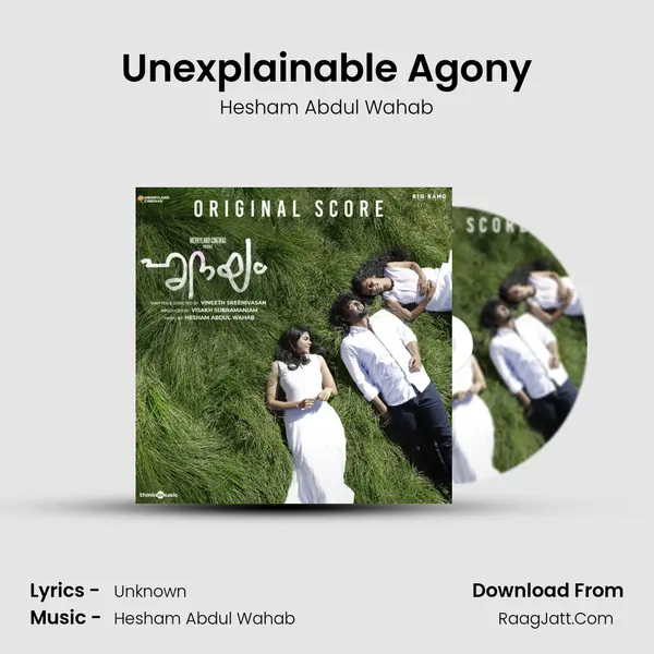 Unexplainable Agony MP3 Song by Hesham Abdul Wahab Cover