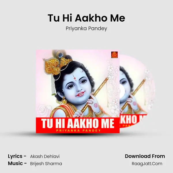 Tu Hi Aakho Me Cover