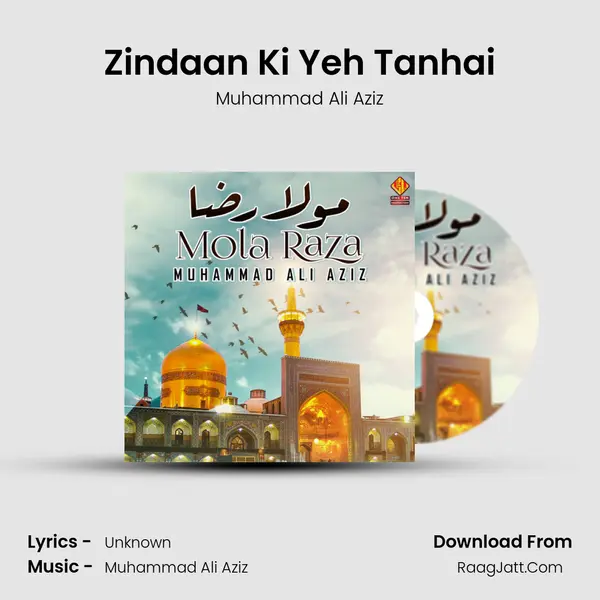 Zindaan Ki Yeh Tanhai MP3 Song by Muhammad Ali Aziz Cover