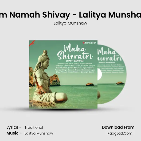 Om Namah Shivay - Lalitya Munshaw Cover