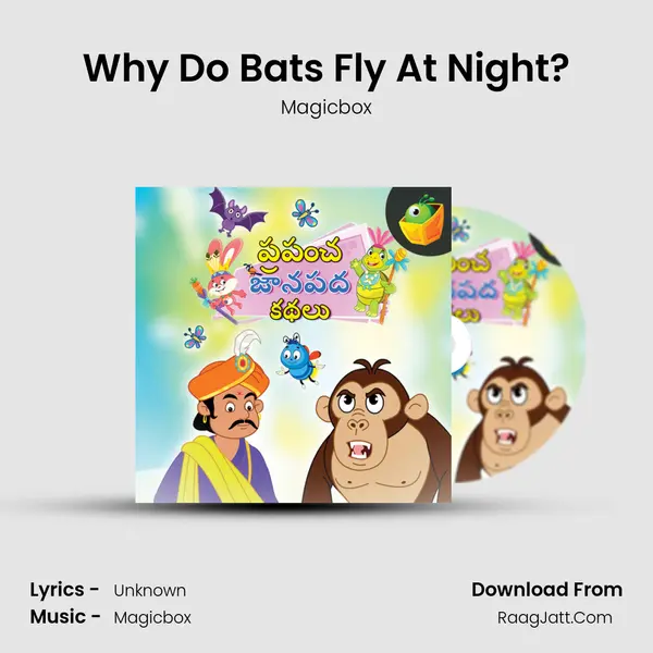 Why Do Bats Fly At Night? MP3 Song by Magicbox Cover