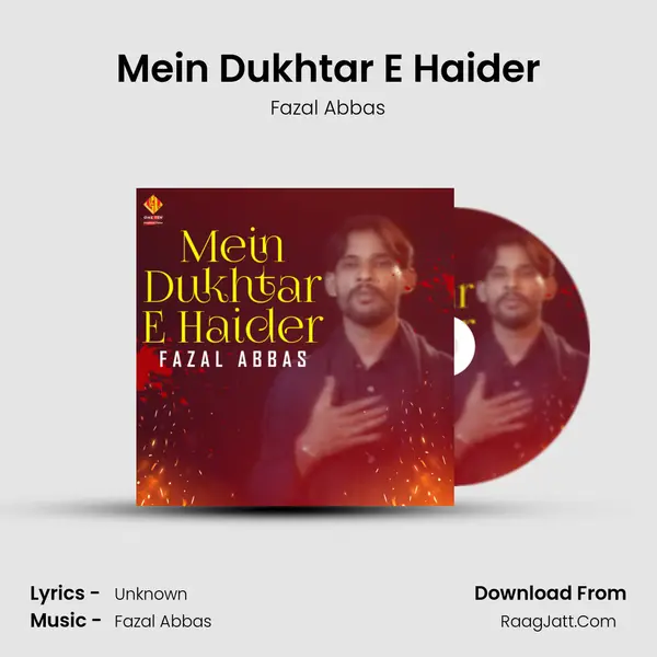 Mein Dukhtar E Haider mp3 song