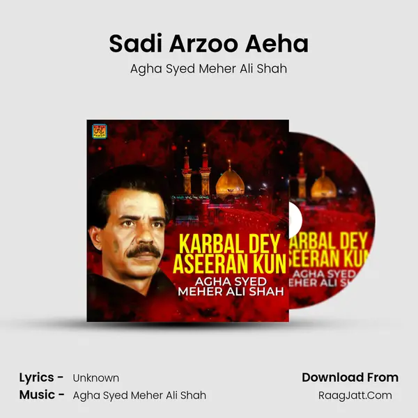 Sadi Arzoo Aeha mp3 song