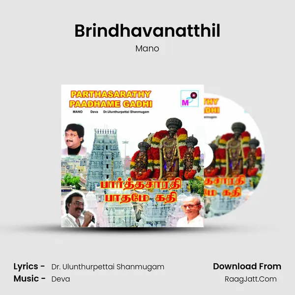 Brindhavanatthil MP3 Song by Mano Cover