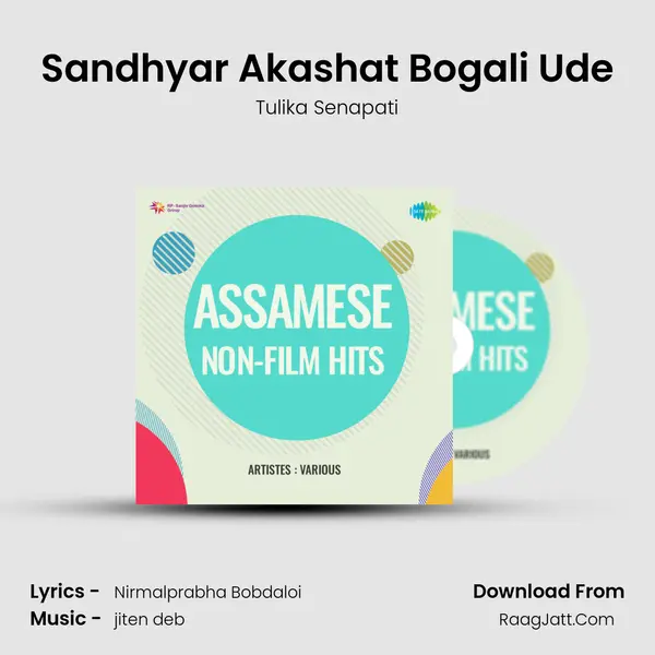 Sandhyar Akashat Bogali Ude MP3 Song by Tulika Senapati Cover