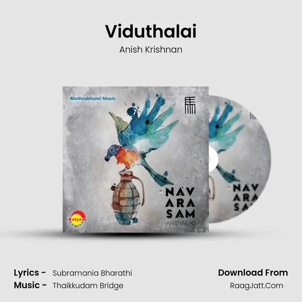 Viduthalai MP3 Song by Anish Krishnan Cover