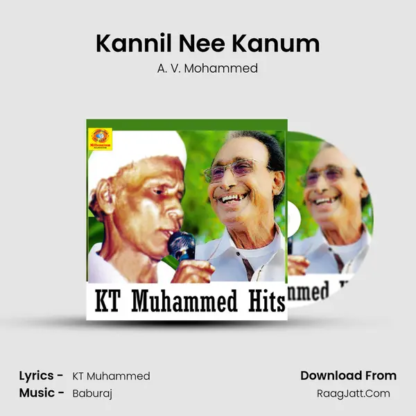 Kannil Nee Kanum MP3 Song by A. V. Mohammed Cover