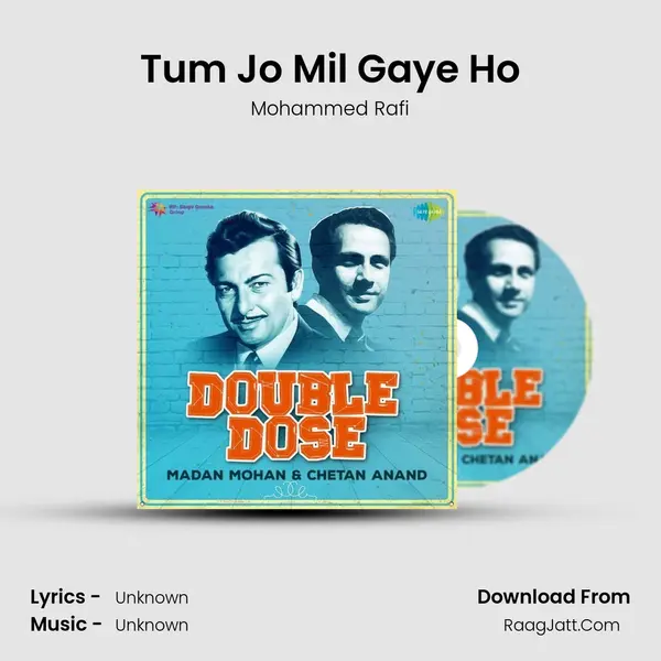 Tum Jo Mil Gaye Ho Cover
